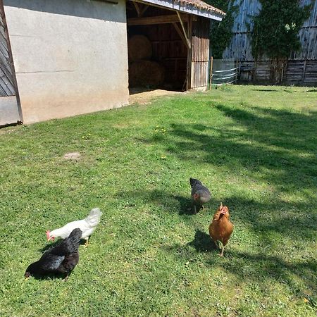 Sainte-Livrade-sur-Lot L' Embellie Sur Lot B&B 외부 사진