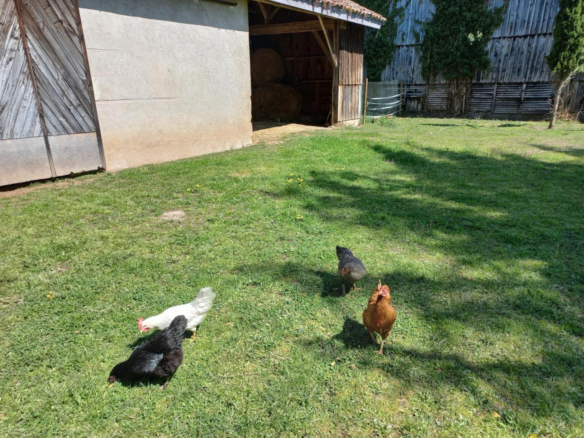 Sainte-Livrade-sur-Lot L' Embellie Sur Lot B&B 외부 사진