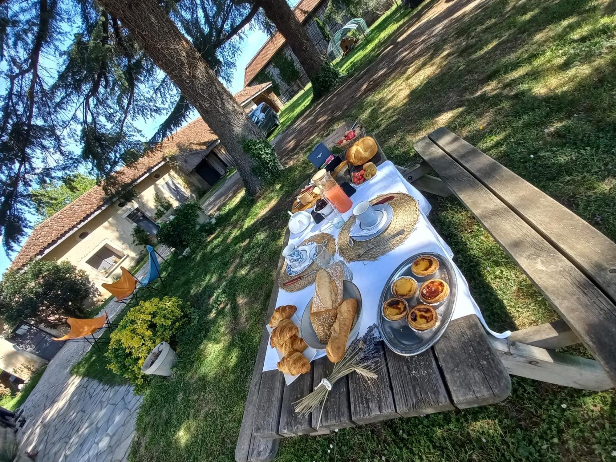 Sainte-Livrade-sur-Lot L' Embellie Sur Lot B&B 외부 사진